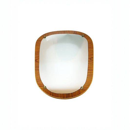Vintage organic wall mirror mounted on a wood-veneered panel