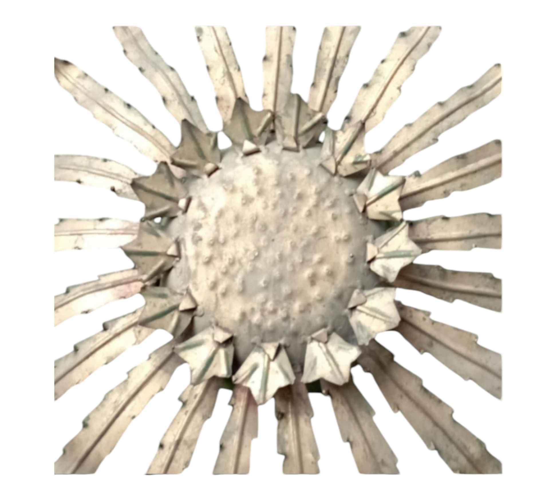 Close-up of central hub and radiating iron structure