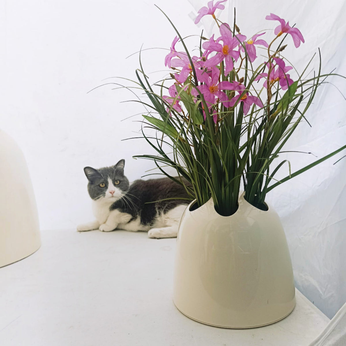Cat looking at Dedalotto vase by Emma Gismondi for Artemide with flowers 